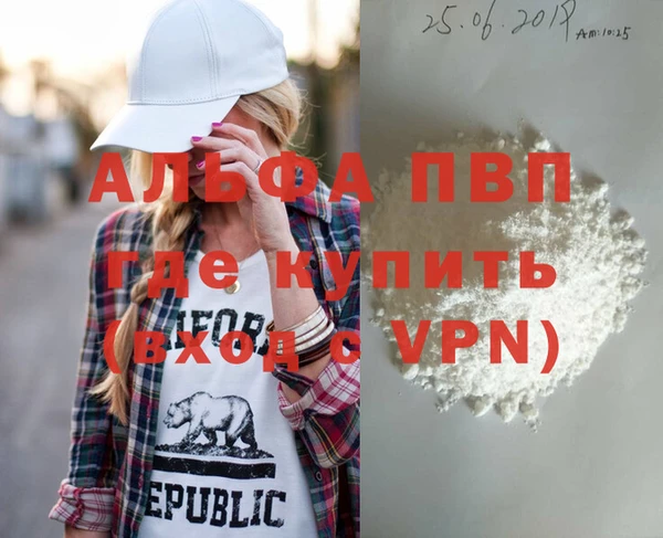 гидра Новозыбков