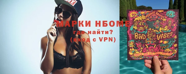 крисы Новокубанск
