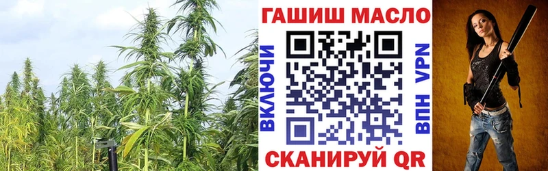 OMG вход  Нытва  Дистиллят ТГК Wax 